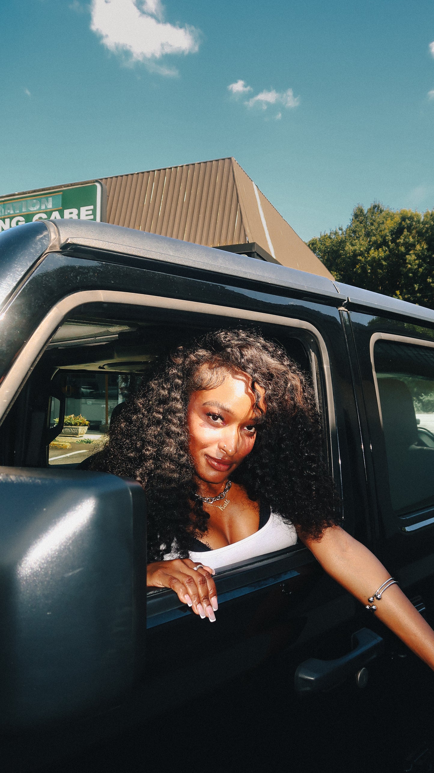Burmese Curly