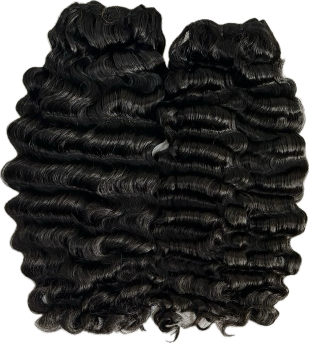 Burmese Curly